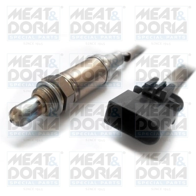 Oxygen Sensor